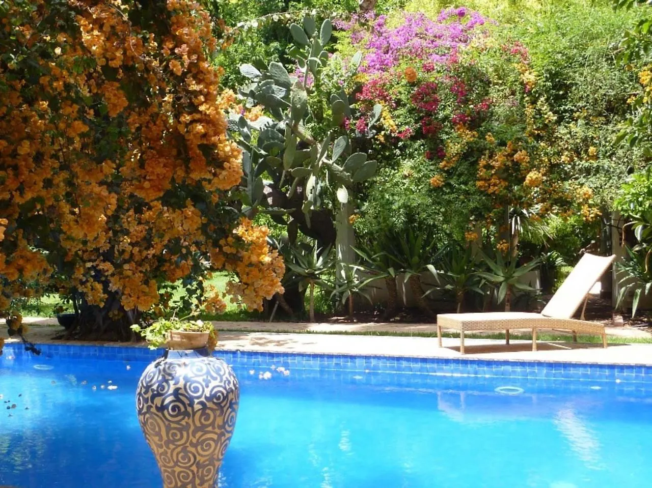 מרקש Villa Sabah - Veritable Havre De Paix